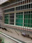 香港街四室二厅单位房低价出售（1415）